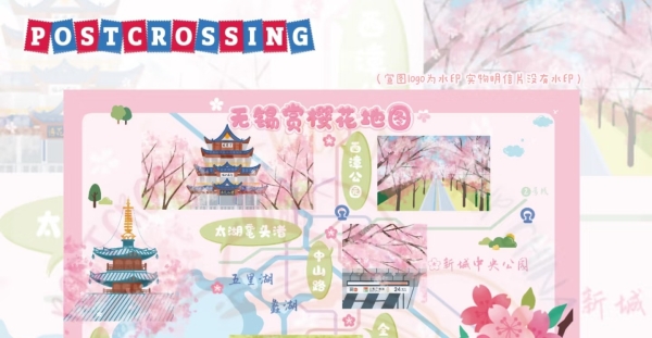pc无锡樱花联名
